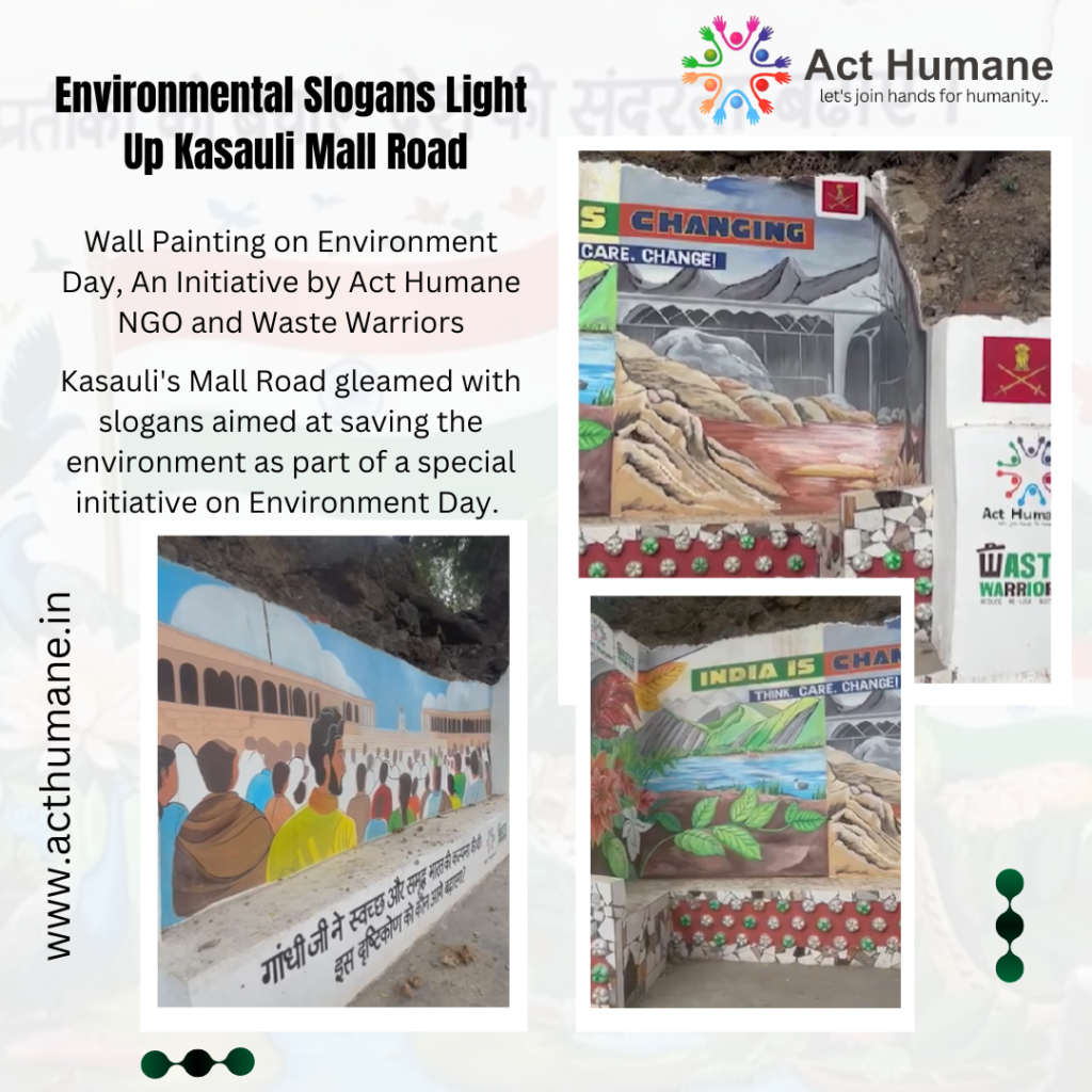 Environmental Slogans Light Up Kasauli Mall Road | World Environment Day
