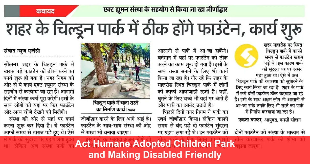 Disability-Friendly Park